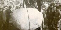 Storia3